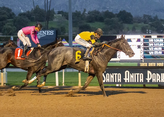 gunmetal-gray-a2-200-1